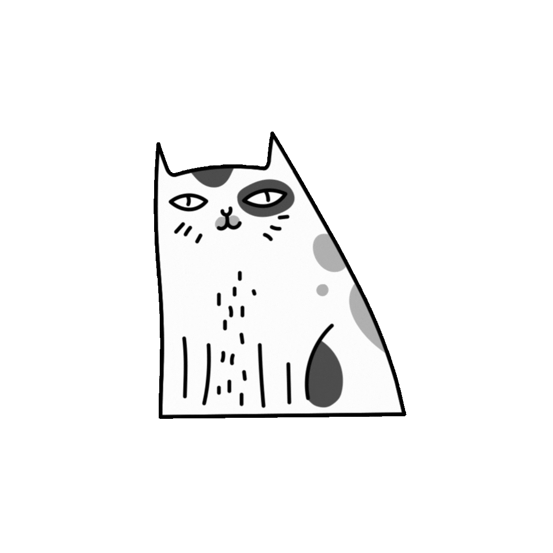 8-bit Cat